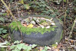tyre